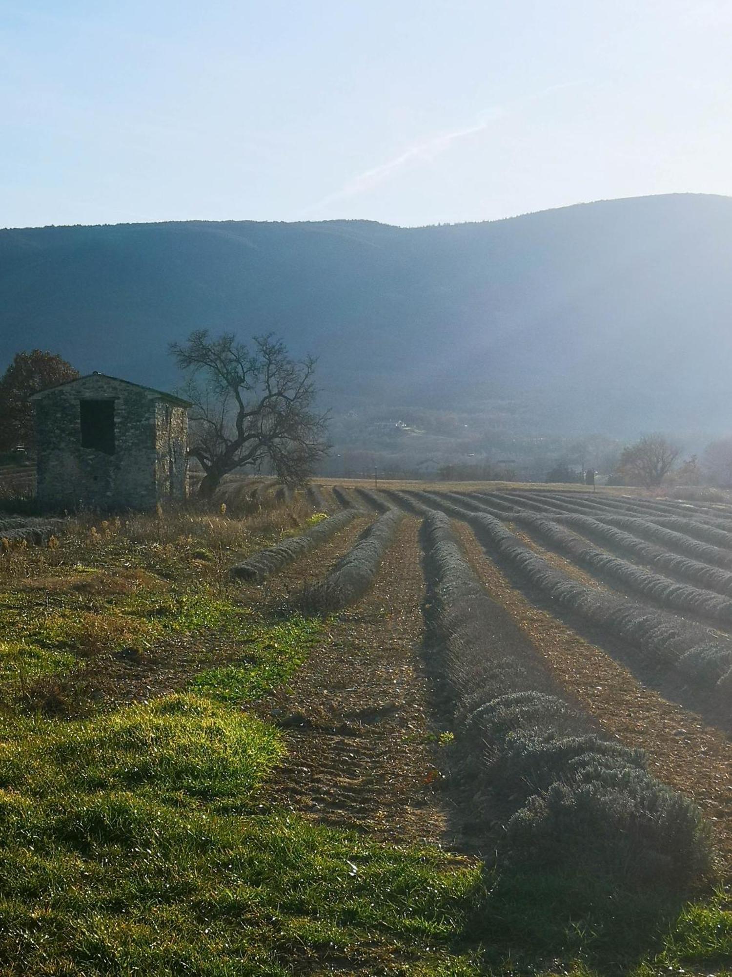 Saint-Martin-de-Castillon Le Petit Paradis 빌라 외부 사진