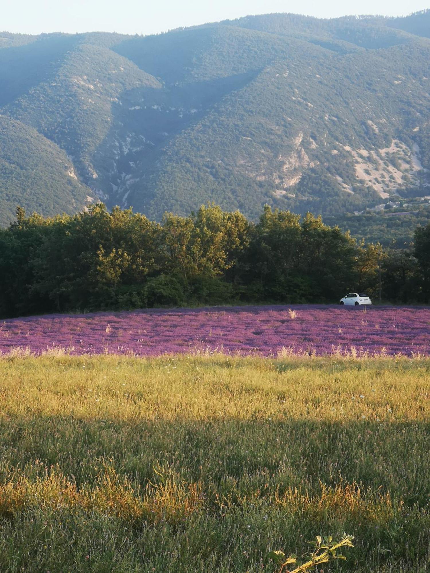 Saint-Martin-de-Castillon Le Petit Paradis 빌라 외부 사진